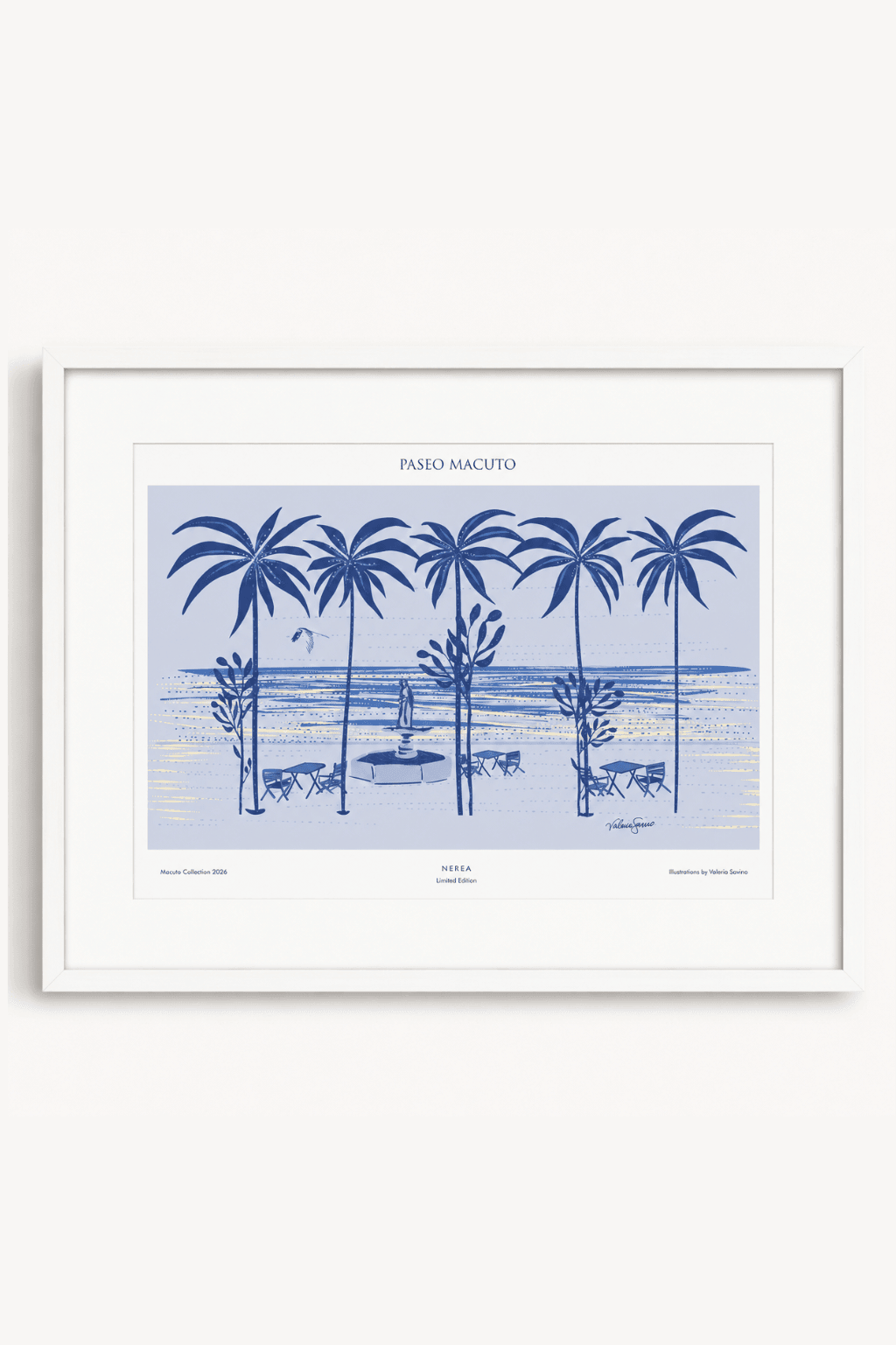 FRAMED | Paseo macuto